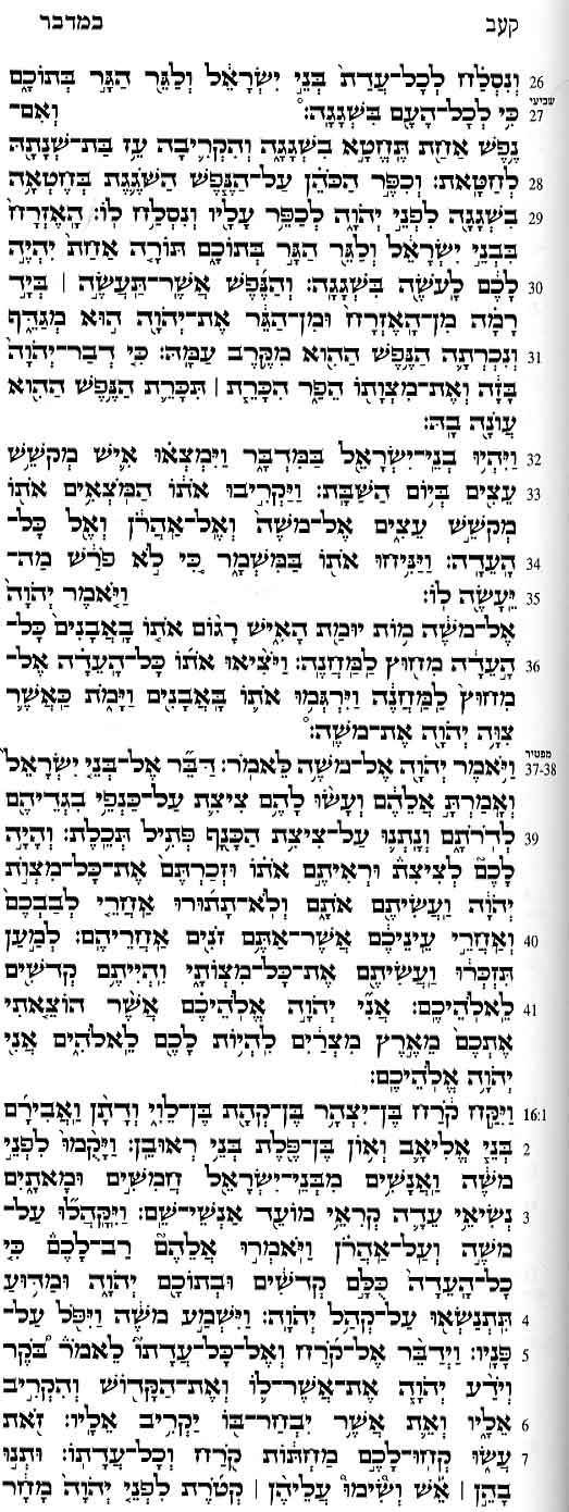 172Korach-Shelach-A